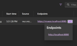 Featured image of post Use non-localhost endpoints for .NET Aspire resources