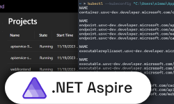 Featured image of post Exploring the Microsoft Developer Control Plane at the heart of the new .NET Aspire