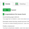 Google PageSpeed Insights, how to get 100/100