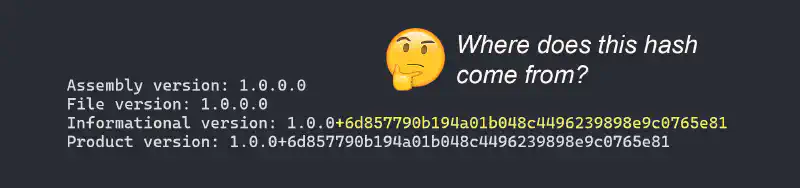 Featured image of post Remove git hash from assembly informational version in .NET 8